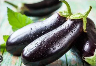 L'aubergine est...