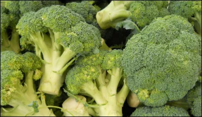 Le brocoli est...