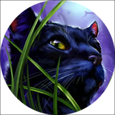 Laquelle de ces attaques est une attaque frontale ?