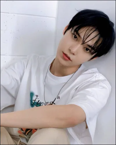 Combien de membres comporte NCT 127 ?