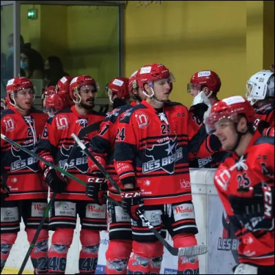 Quelle est la ville des "Bisons" ?