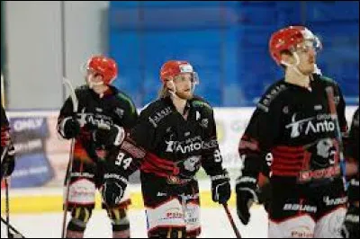 Quelle est la ville des "Dogs" ?