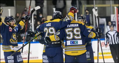 Les "Ours" sont le club de ...