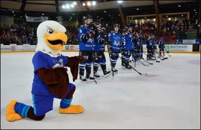 Les "Rapaces" sont le club de ...