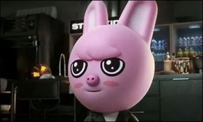 À qui ce SKZoo appartient-il ?