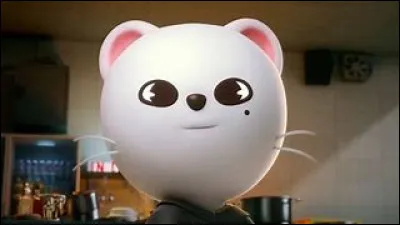 À qui appartient ce SKZoo, un peu drama queen ?