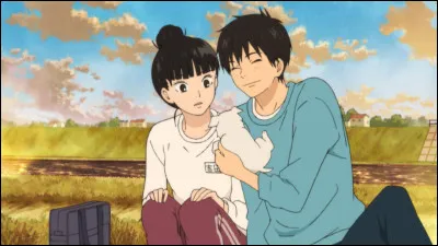 À ton avis, pourquoi Sawako et Kazehaya ne se déclarent-ils pas ?