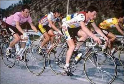 Il participe à trois Tours d'Italie ; en 1988 il remporte trois étapes et porte le maillot rose trois jours avant d'abandonner :