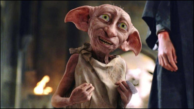 Qui n'est pas un elfe de maison ?