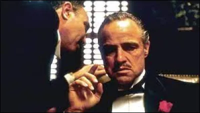 Quel acteur joue le rôle de Vito Corleone dans le film "Le Parrain" ?