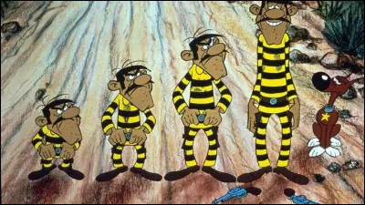 Chez les frères Dalton, qui est le plus grand ?