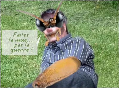 La planète serait donc sauvée ! Attendons-nous néanmoins, à quelques révolutions dans le domaine esthétique... À propos, combien de kcalories pourrait produire un tel insecte (voir ci-dessus) pesant environ 75 kg ?