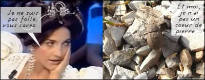 Arrivé à l'âge adulte, il ne peut guère voler, ce qui fait ... (Complétez !)