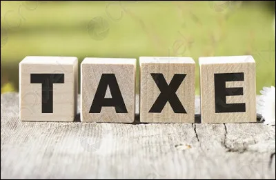 Quel est le nom de la taxe sur les produits pétroliers, donc sur lessence ?