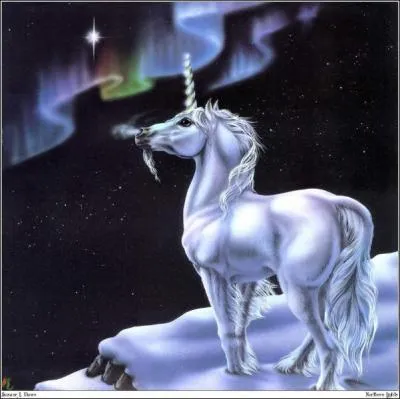 Quelle est la race de ce cheval ?