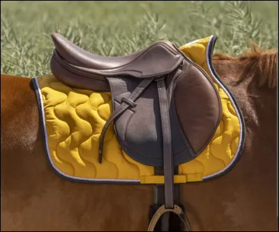 Quelle partie n'appartient pas à la selle ?