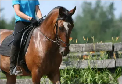 Parmi ces aides laquelle est artificielle ?