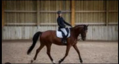 Que signifie être à main droite dans le manège ?