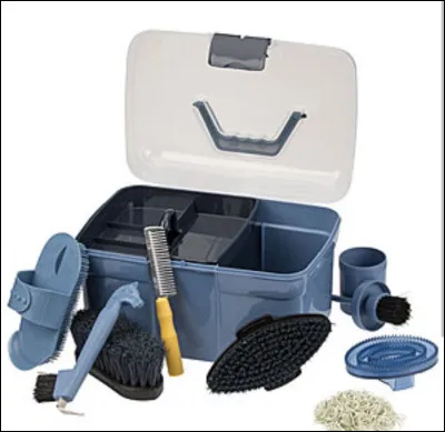 Quelles sont les affirmations justes ?