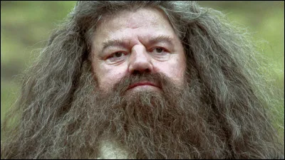 Où voit-on pour la première fois Hagrid ?