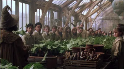 À quel film cette image appartient-elle ?