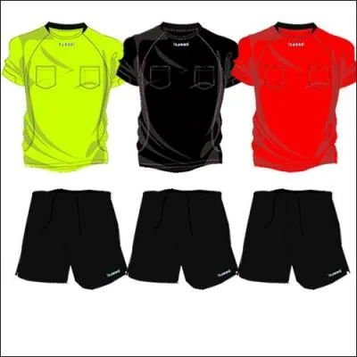 Combien d'arbitres ont t retenus pour le Mondial ?