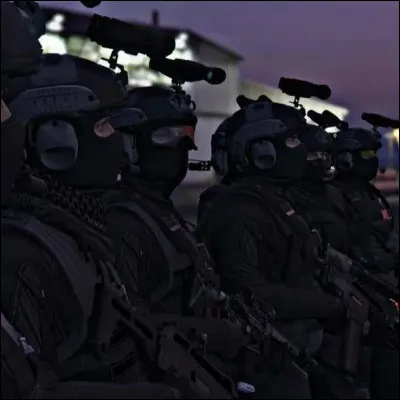 Quelles sont les deux devises de l'USDI ?