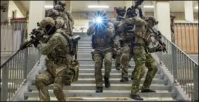 Lesquelles de ces unités font partie des forces spéciales ?