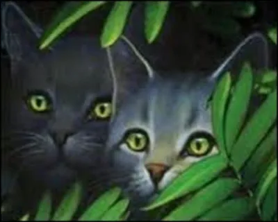 Qui est sa deuxième compagne ?