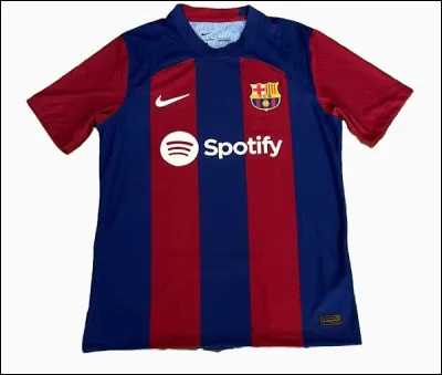 Quelle équipe porte ce maillot ?