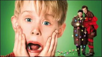 Durant quelle décennie est sorti le film "Maman, j'ai raté l'avion" ?