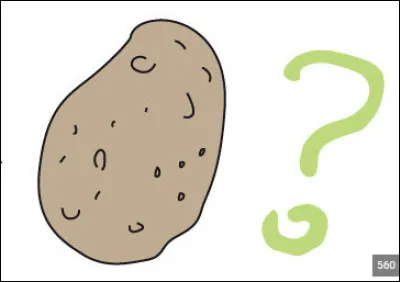 Coche la réponse vraie :