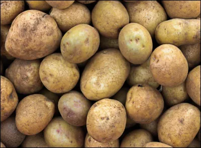 Qui ont été les plus gros producteurs de pommes de terre en 2007 ?