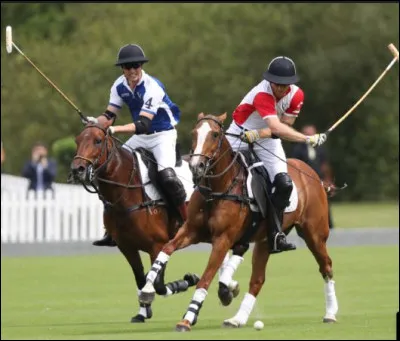 Comment se nomme la discipline consistant à envoyer une balle à l'aide d'un maillet dans les buts situés aux extrémités du terrain ?