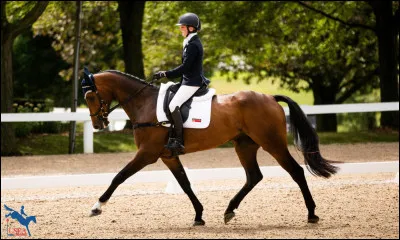 Que fait-on au dressage ?