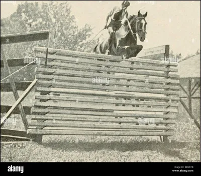 Comment s'appelle le cheval qui a franchi le plus haut obstacle ?