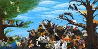 Tu es maintenant guerrier/guerrière sous le nom de Truc Machin.
Un quart de lune plus tard, tu es désigné(e) pour aller à l'assemblée !
Tu y rencontres Pelage Cendré, un guerrier/une guerrière d'un autre clan. Il/Elle te propose de devenir son ami(e).