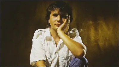 Avant de devenir chanteur, quel métier voulait faire Daniel Balavoine ?