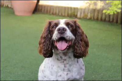 En 1959, Bernard Clavel nous a donné...