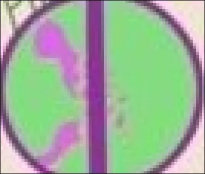 Quel est ce talent ?