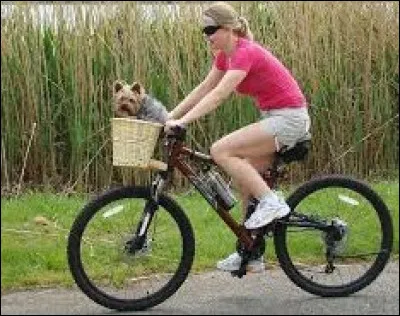 Pour avancer sans forcer, quel élément dois-tu vérifier avant le départ ?