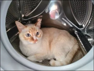 Enfin, les policiers retrouvent l'homme qui t'a agressé(e) et l'emmènent en prison. Que leur dis-tu ?