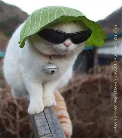 Toute cette histoire est enfin finie, qu'en retiens-tu ?