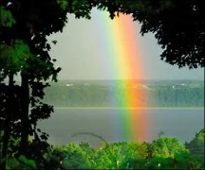 Quelle est ta couleur préférée ?