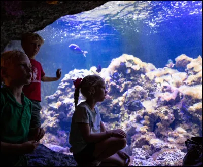 Pour quelle raison mesure-t-on le pH de l'eau d'un aquarium ?