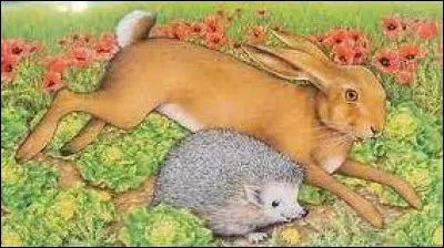 Parmi les prédateurs des hérissons, on rencontre :