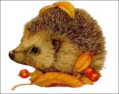 « Oh, qu'est-ce qu'y pique, ce hérisson ! » sont les paroles de la chanson du hérisson, interprétée par Georges Brassens et Henri Salvador dans le conte musical :