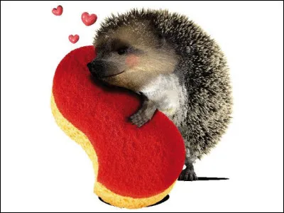 Mascotte de la marque Spontex, ce petit hérisson est devenu emblématique, mais quel est son nom ?