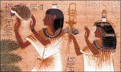 Dans l'Égypte antique, la croyance disait que le hérisson :