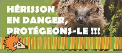 En France, le hérisson est une espèce protégée depuis :